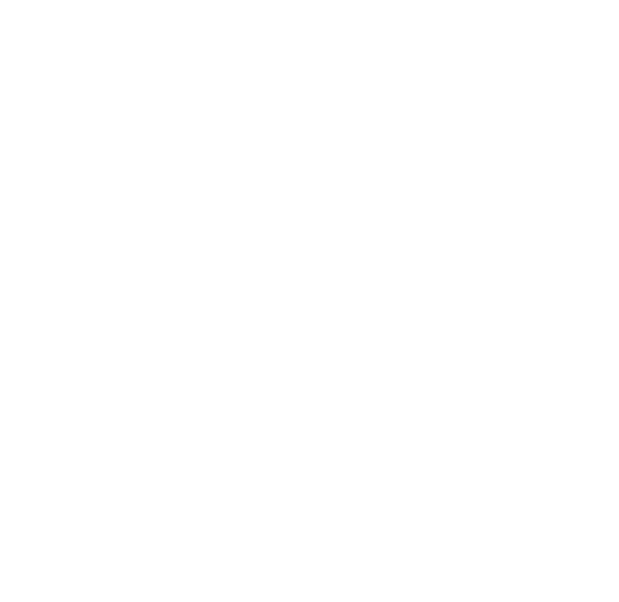 Viking Resident Historian Logo