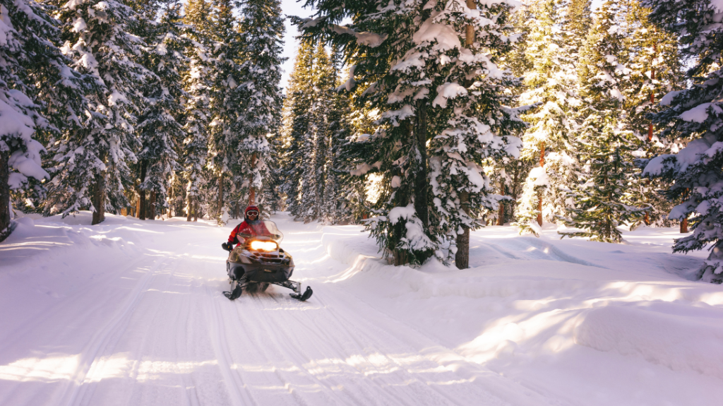 Snowmobiling through nature
