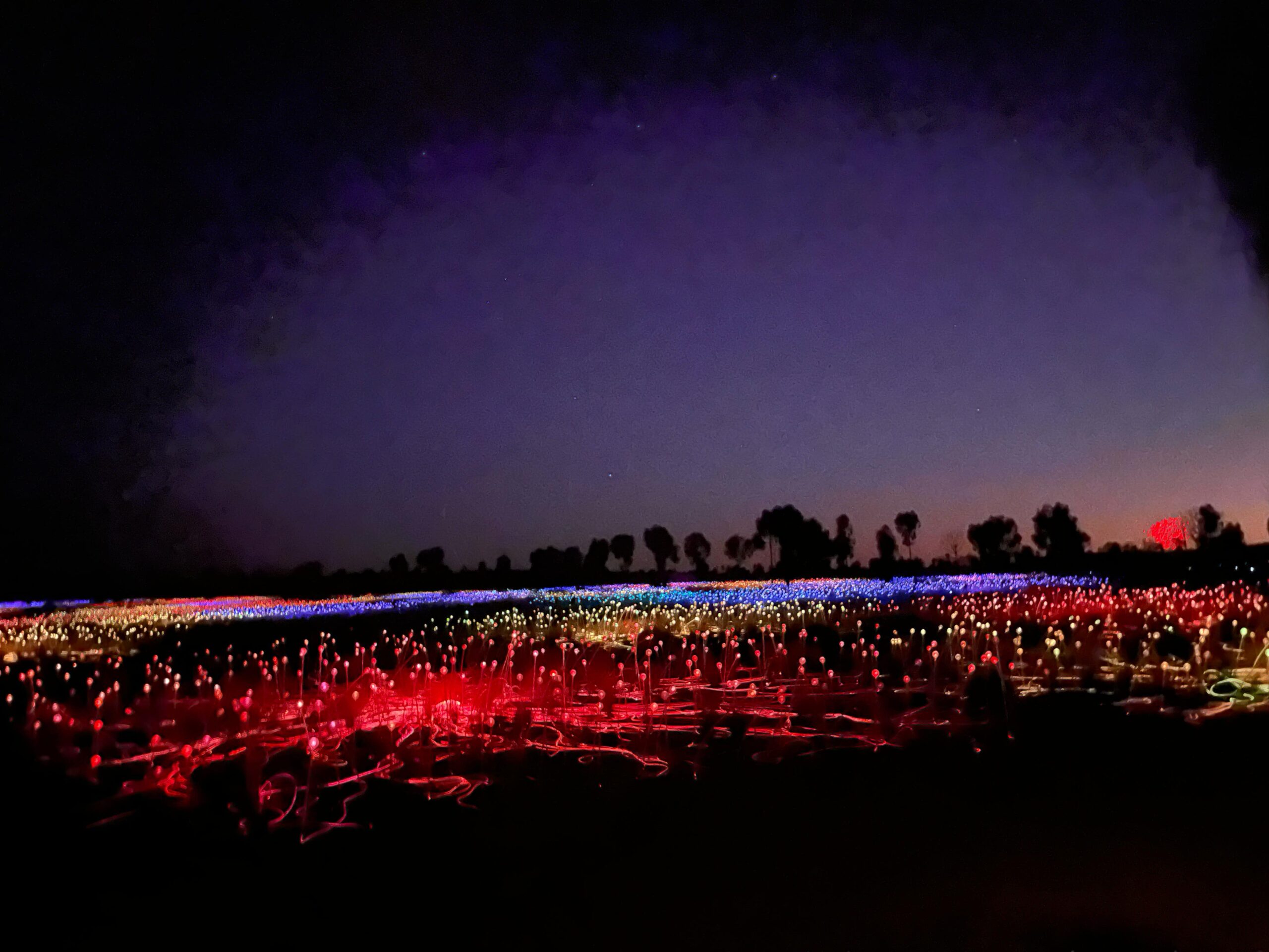 Field of Lights
