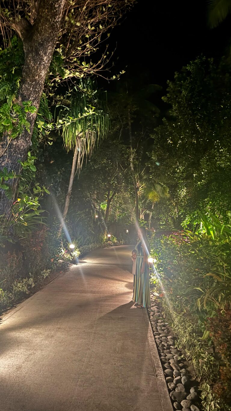 Way to the Botanical Garden