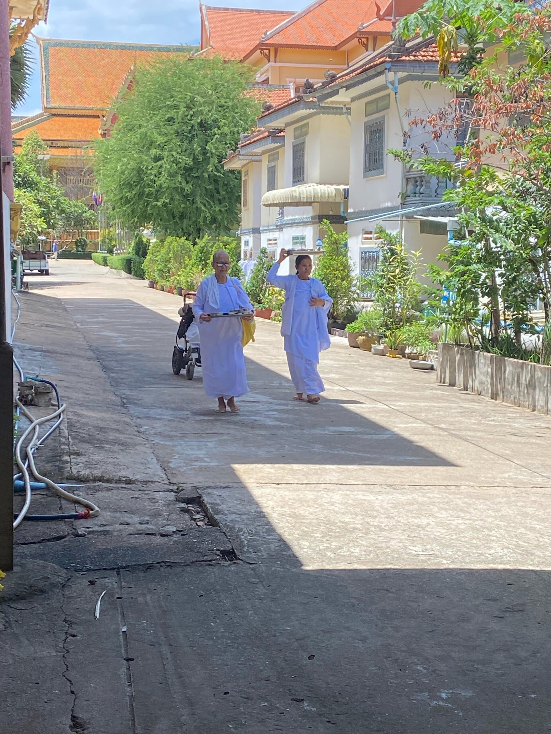 Cambodian monks walking
