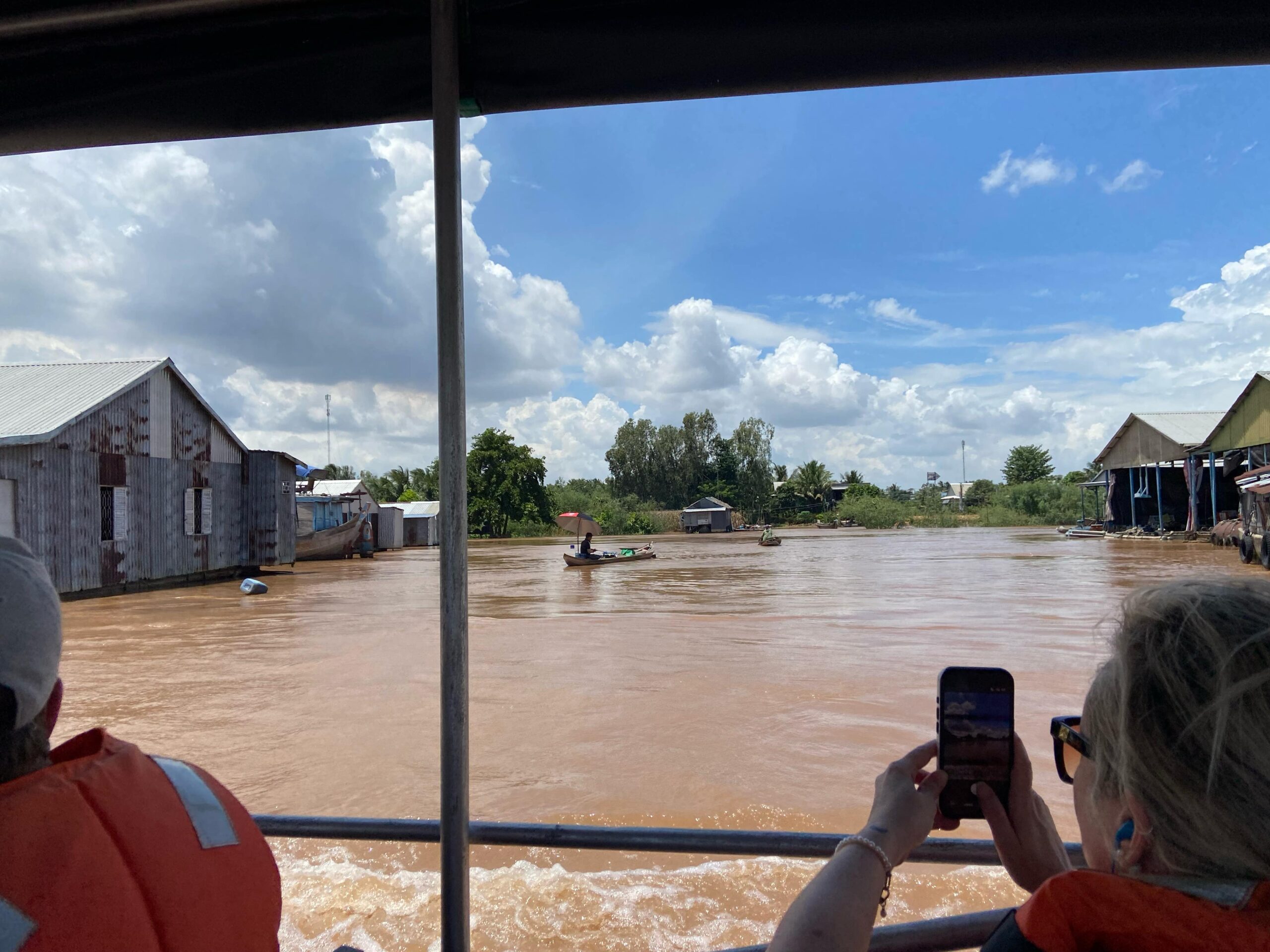 Houses near the Mekong Delta