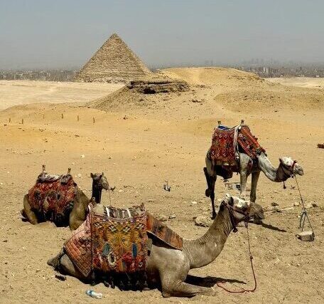 Camel ride image