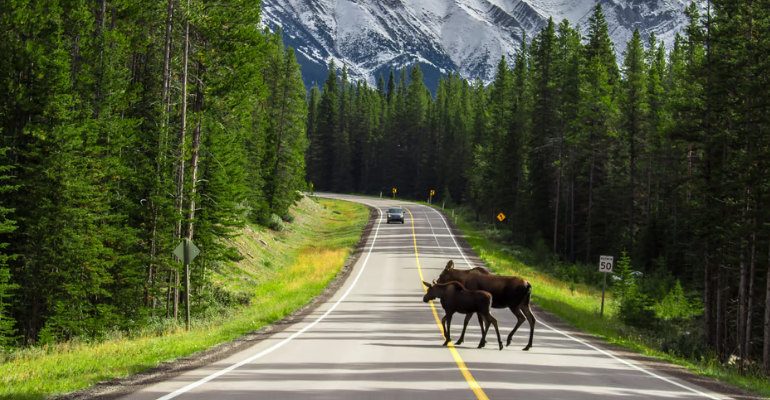 Canada & Alaska